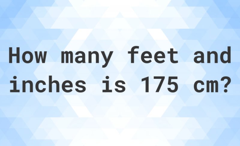 175 cm in Feet