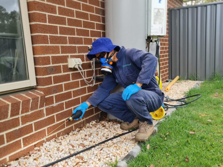 Protecting Melbourne’s Homes and Businesses: The Vital Role of Effective Pest Control
